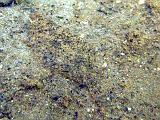 2009-05-30 18-34-18S